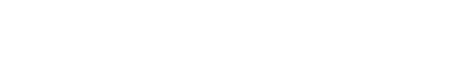 3li En Wordmark W