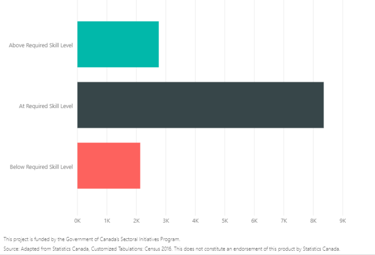 higher education levels in tourism